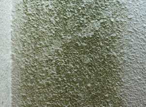 外壁のカビ・藻・苔