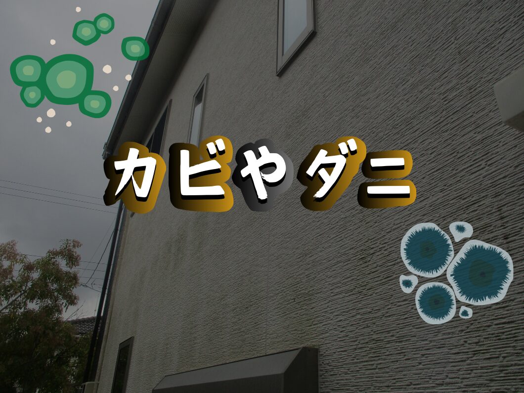 橿原市・田原本の外壁塗装・屋根塗装は実績No.1安心ヨネヤの奈良県の建物の劣化とともに発生するカビ